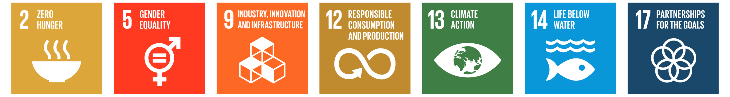 ifs sdg anchors